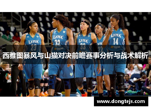 西雅图暴风与山猫对决前瞻赛事分析与战术解析